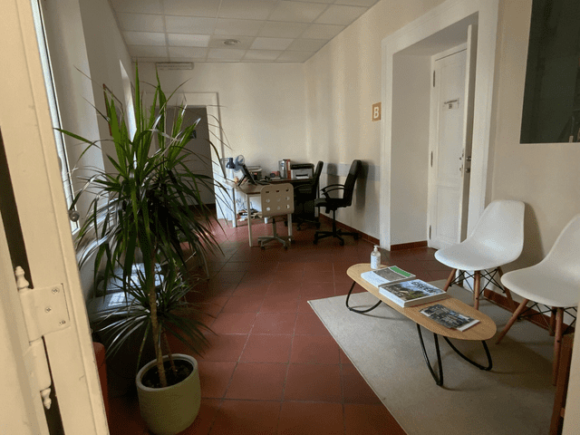 A small office with two chairs and a potted plant.